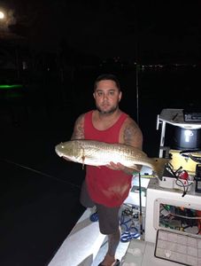 Redfish Fishing in Seminole, FL